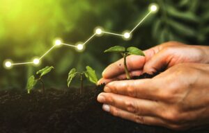 Make change flourish in an SME